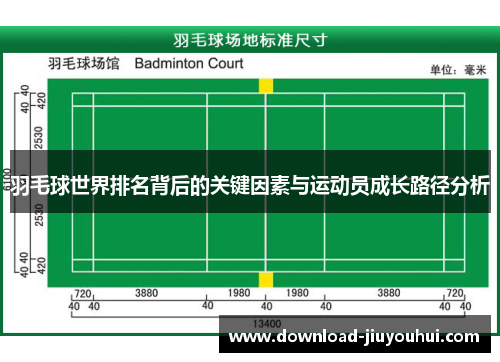 羽毛球世界排名背后的关键因素与运动员成长路径分析